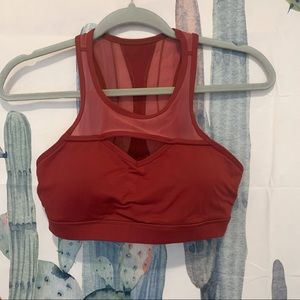 Buff bunny sports bra